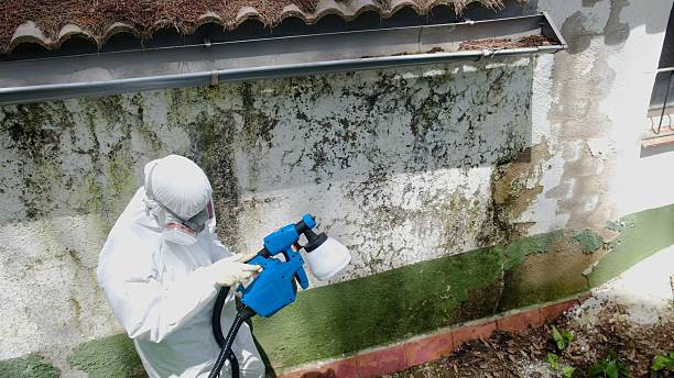 Trusted Mold Inspection service in Tall Timbers, MD - Cheap Mold Removal